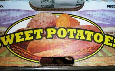 Myrto’s Sweet Potato Patties